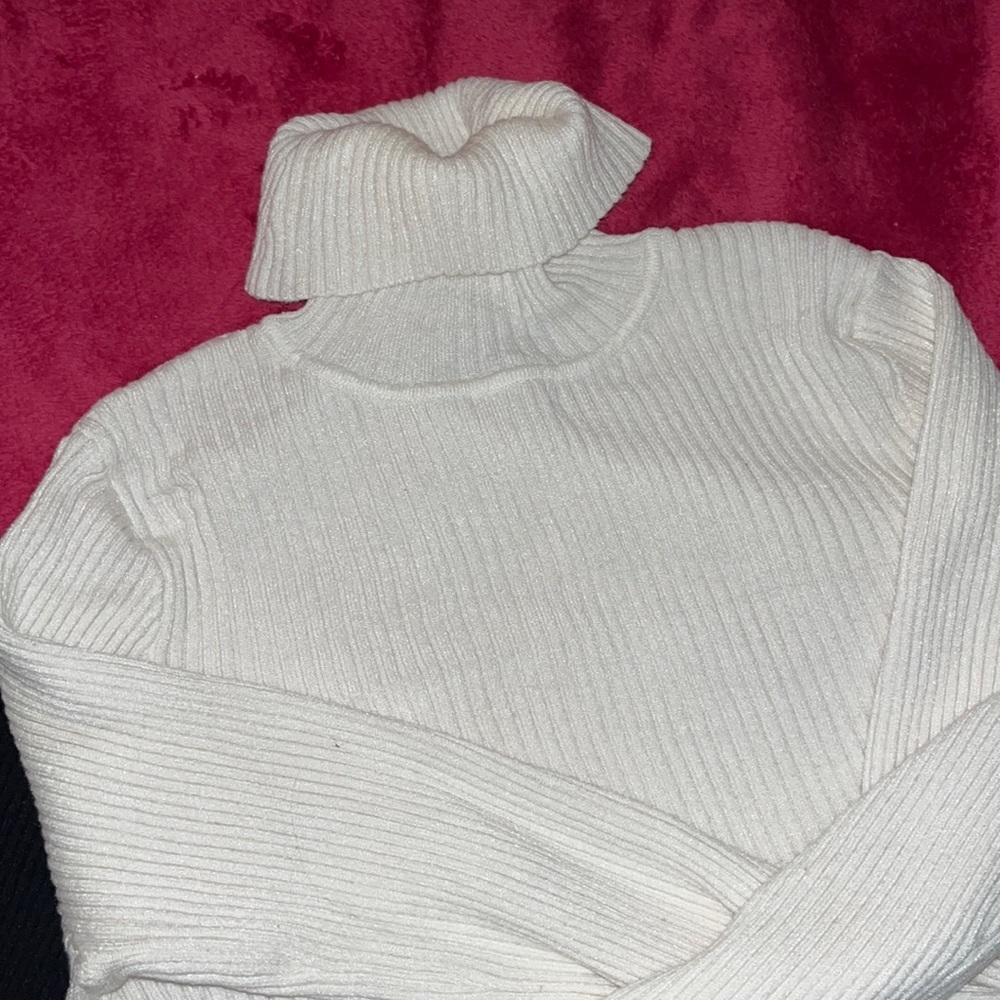 2 for 1 F21 turtlenecks